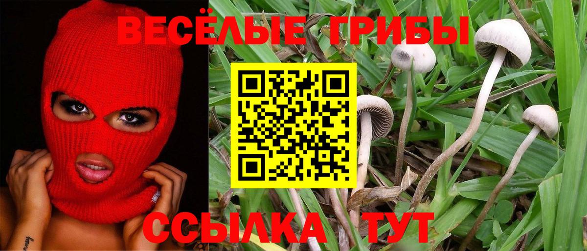 Сибай  как найти закладки  Вход с VPN  Галлюциногенные грибы Cubensis 